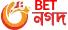 পেমেন্ট অপশন
